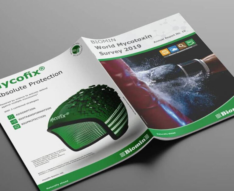 revista